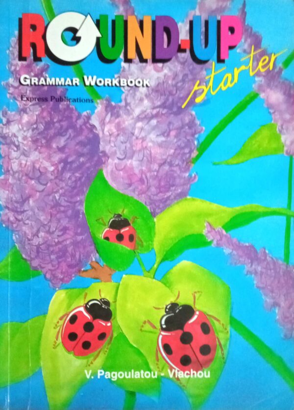 Round-Up Starter Grammar Workbook