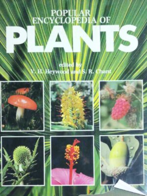 Popular encyclopedia of Plants