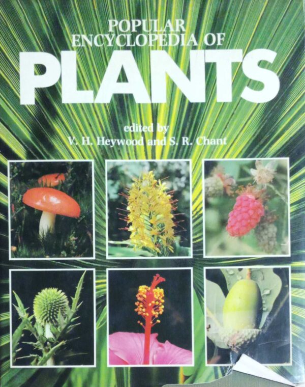 Popular encyclopedia of Plants